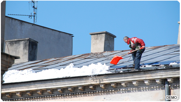 Roof Cleaning